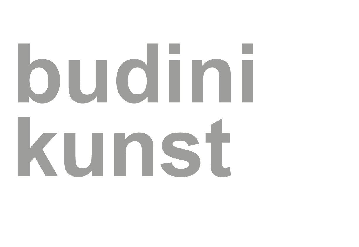 budini-kunst